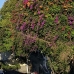 sanur_v_0050_bal4191.jpg